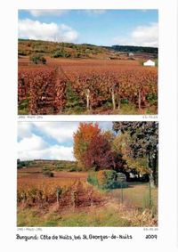 Werkbuch_Auszug_Cote_de_nuits_0006